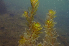 P1050549