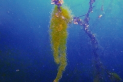 P1050173