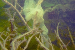 p1060752