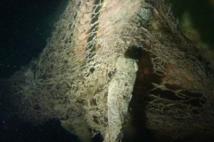 p1060888