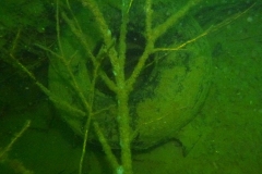 p1060940