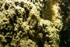 P1040862