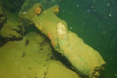 P1040866