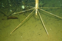 P1040869