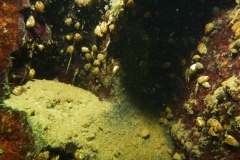 P1040873