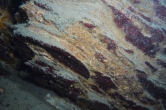 P1050693