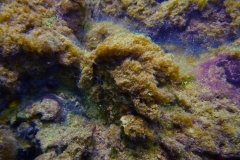 p1070442