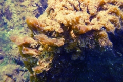 p1070443