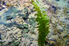 p1070451