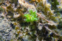 p1070453