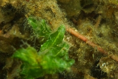 p1070454