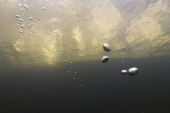 p1070455
