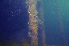 P1050420